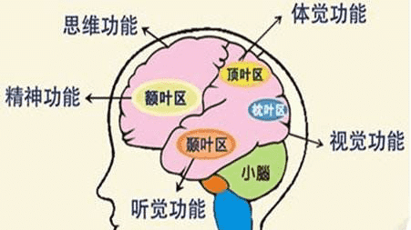 记忆力、专注力、思考力……，想要哪个？全在这篇《“理想型”孩子配方手册》里啦！